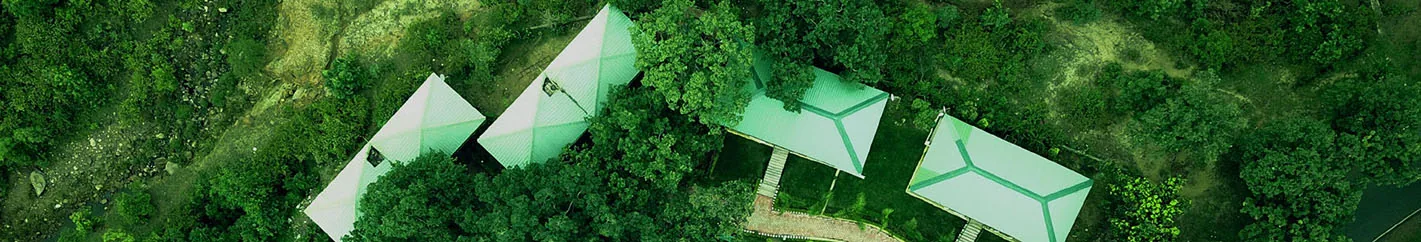 Aerial view of Motel Tamia cottages in the forest