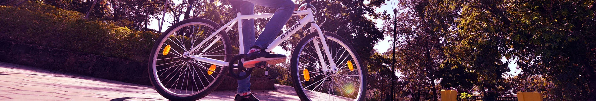 Cycling at Motel Tamia