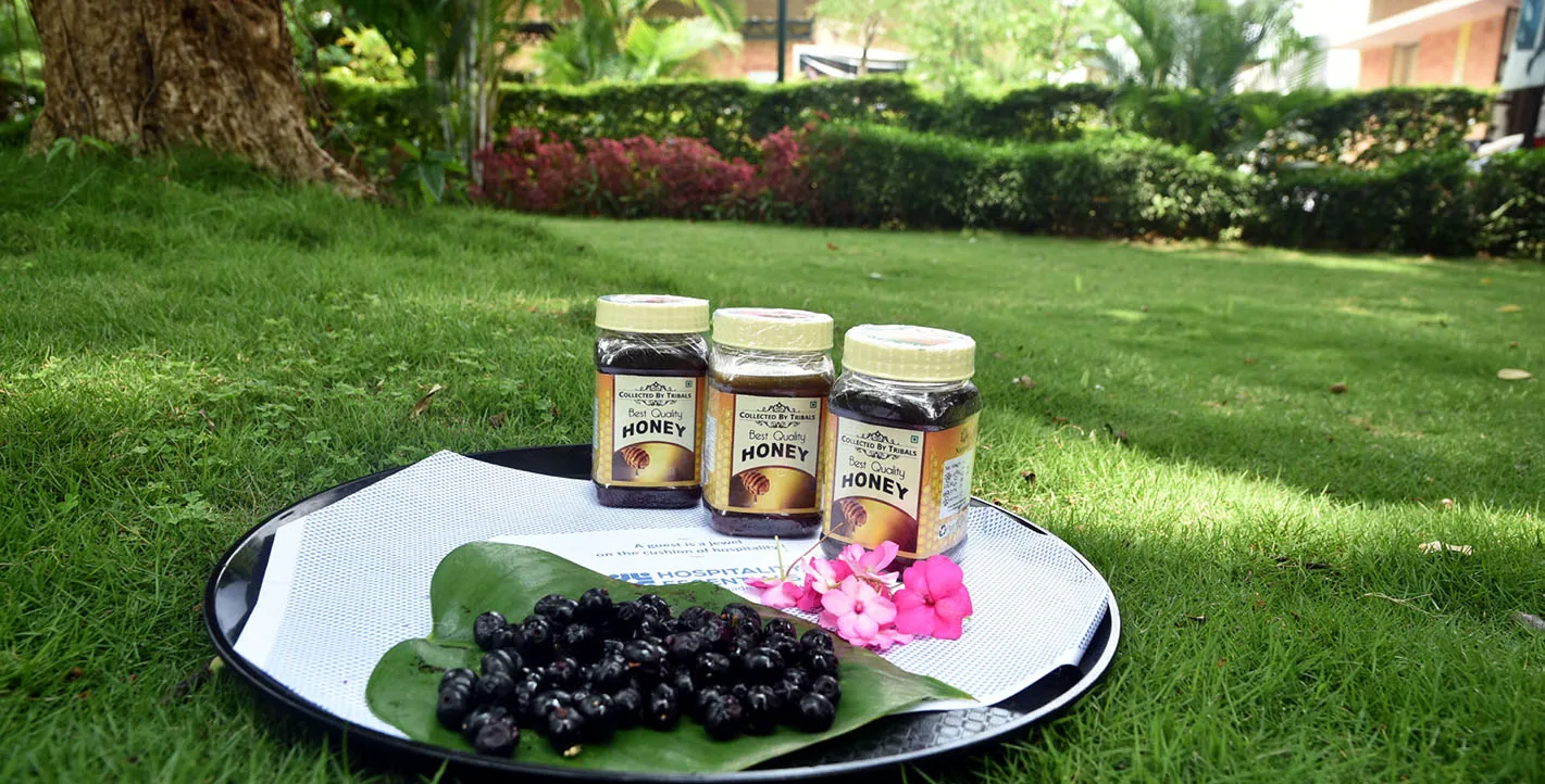Fresh Fruits - Motel Tamia
